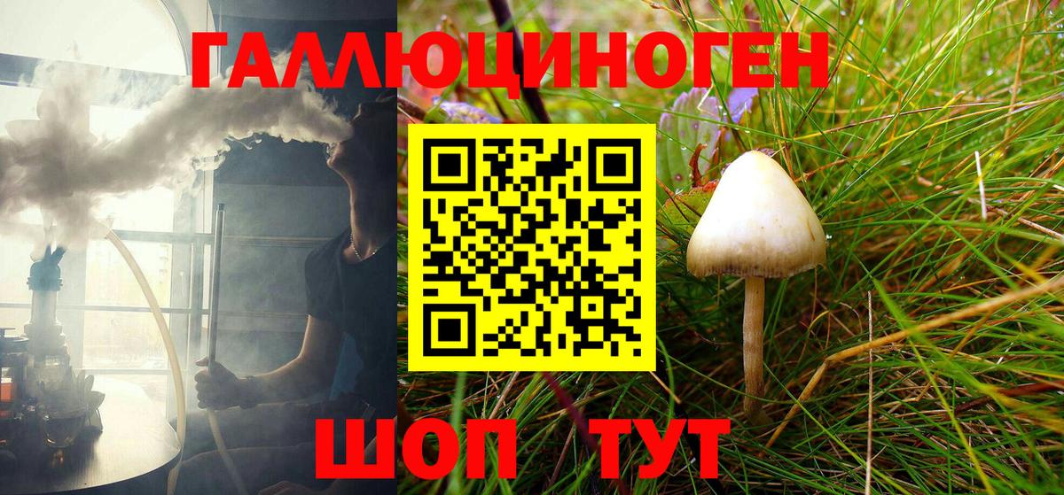 Ковров  Псилоцибиновые грибы Cubensis  Вход с VPN 